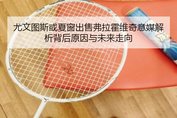尤文图斯或夏窗出售弗拉霍维奇意媒解析背后原因与未来走向