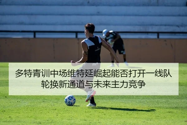 多特青训中场维特延崛起能否打开一线队轮换新通道与未来主力竞争