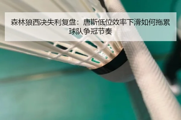 森林狼西决失利复盘：唐斯低位效率下滑如何拖累球队争冠节奏
